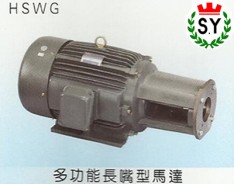 群策電機_多功能長嘴型馬達HSWG